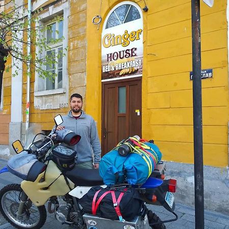 Hostel Ginger House 普罗夫迪夫 外观 照片